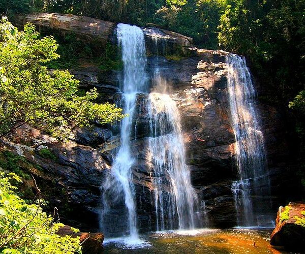 udzungwa-mountains-national